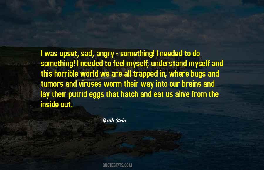Garth Stein Quotes #605039