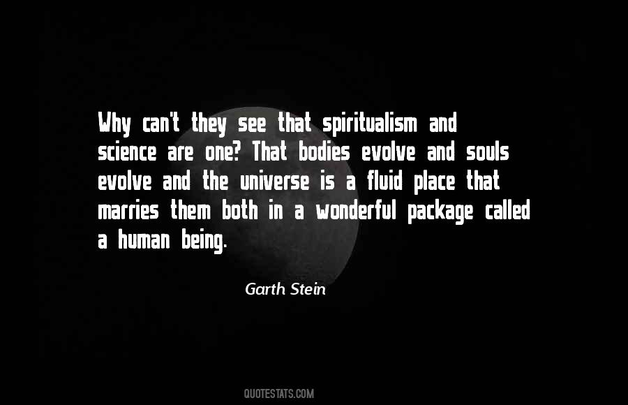 Garth Stein Quotes #831616