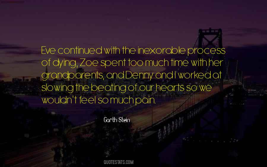 Garth Stein Quotes #984071