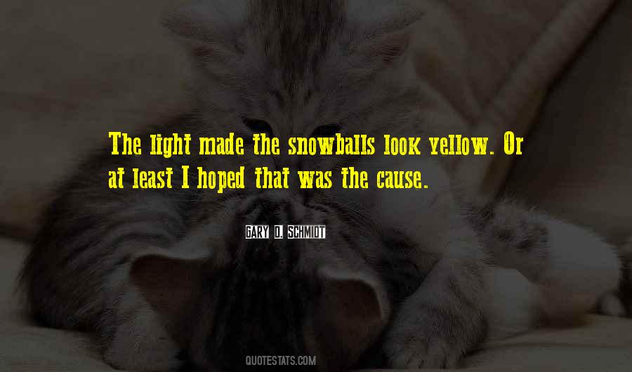Gary D. Schmidt Quotes #446942