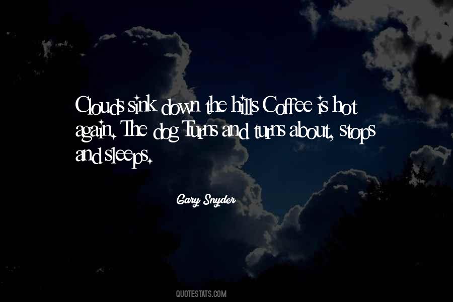 Gary Snyder Quotes #1586558