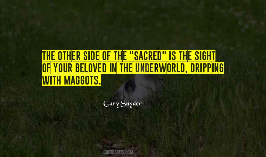 Gary Snyder Quotes #1694945