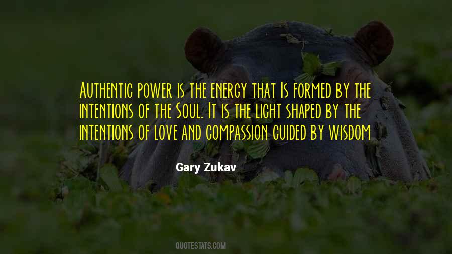 Gary Zukav Quotes #747603