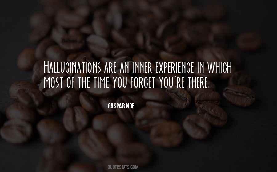 Gaspar Noe Quotes #835177 Gaspar Noe Quotes #835177