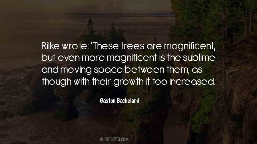 Gaston Bachelard Quotes #1468534