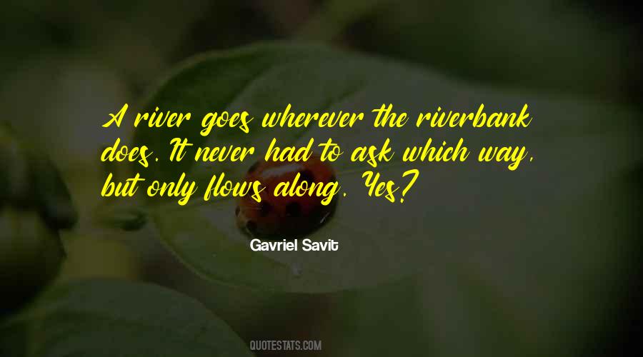 Gavriel Savit Quotes #1279005