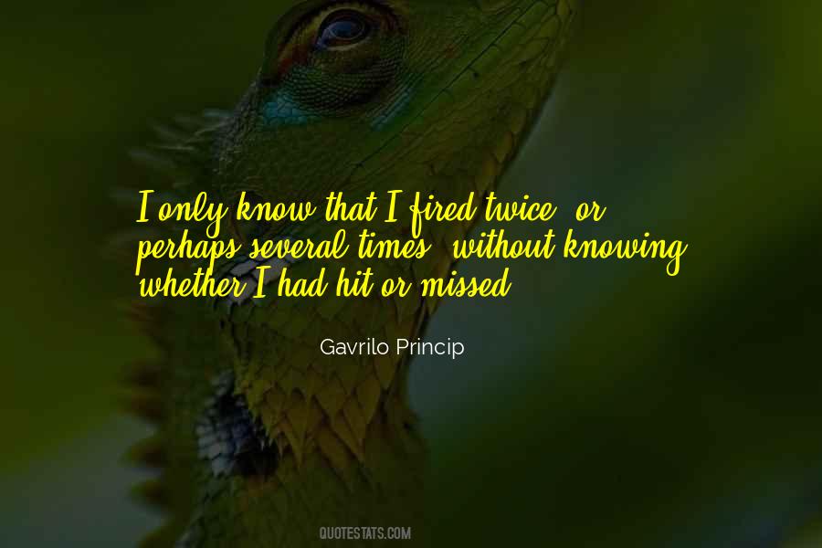 Gavrilo Princip Quotes #347054