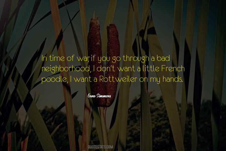 Gene Simmons Quotes #1035198