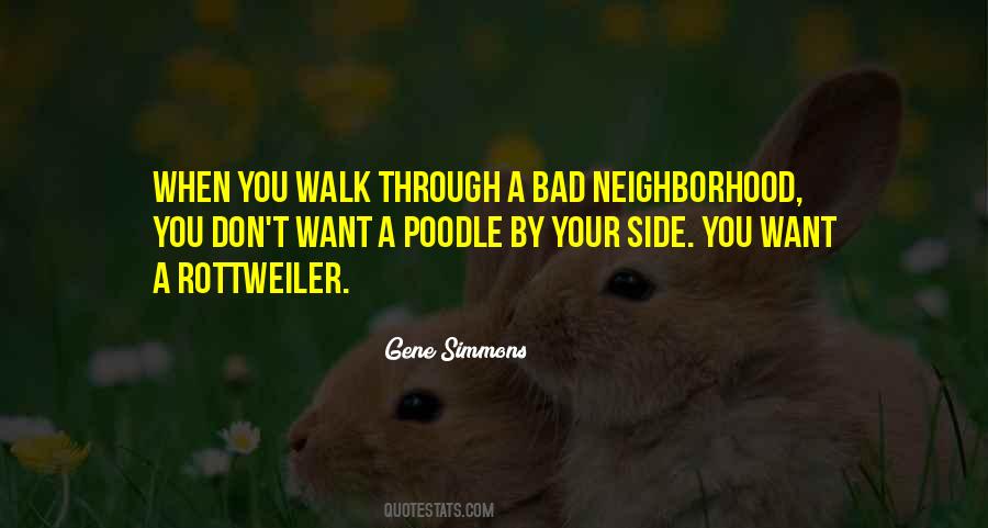 Gene Simmons Quotes #1214632