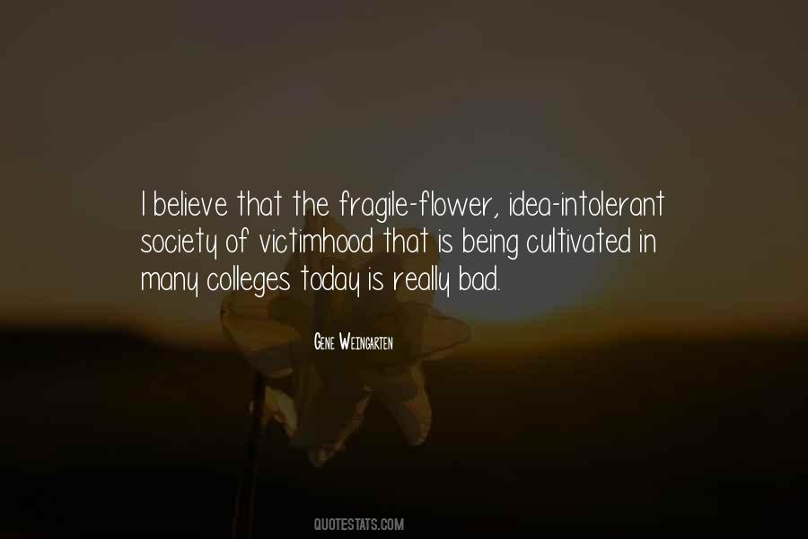 Gene Weingarten Quotes #1059326