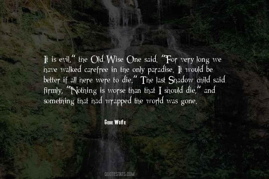 Gene Wolfe Quotes #1562122