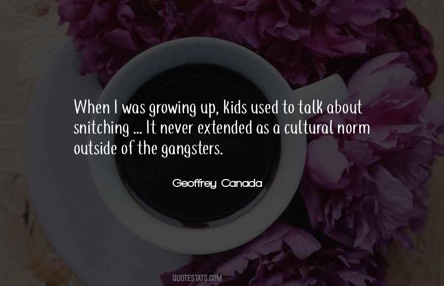 Geoffrey Canada Quotes #576437