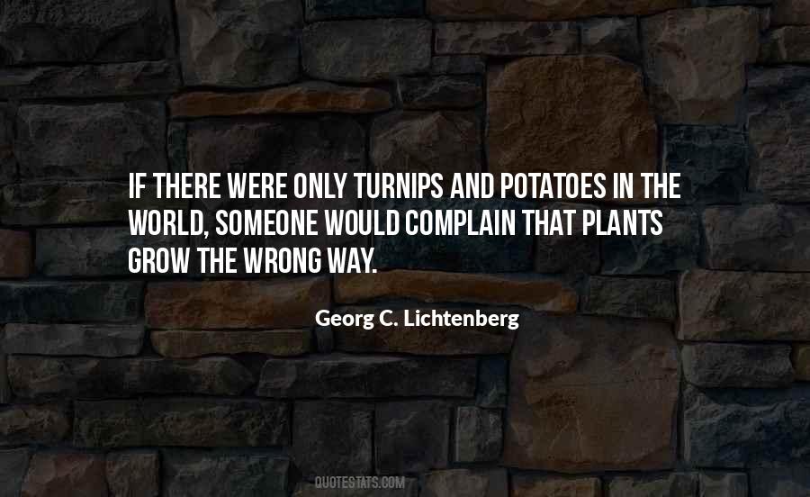 Georg C. Lichtenberg Quotes #986338