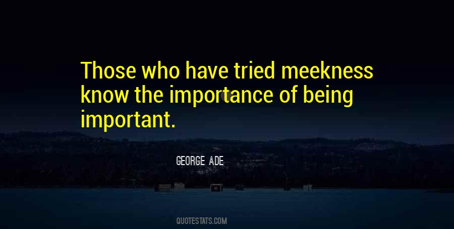 George Ade Quotes #1455904