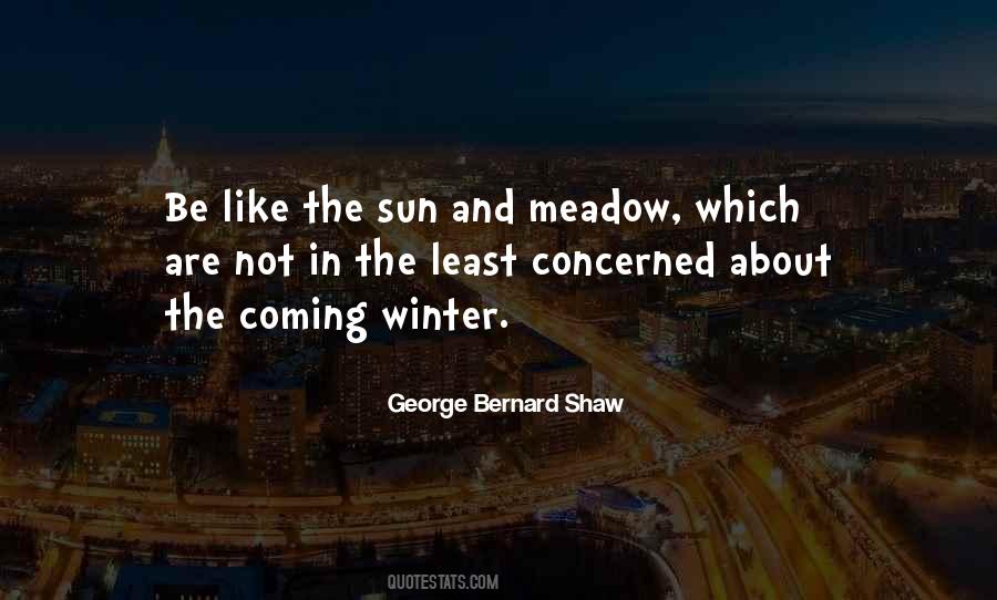 George Bernard Shaw Quotes #1002751