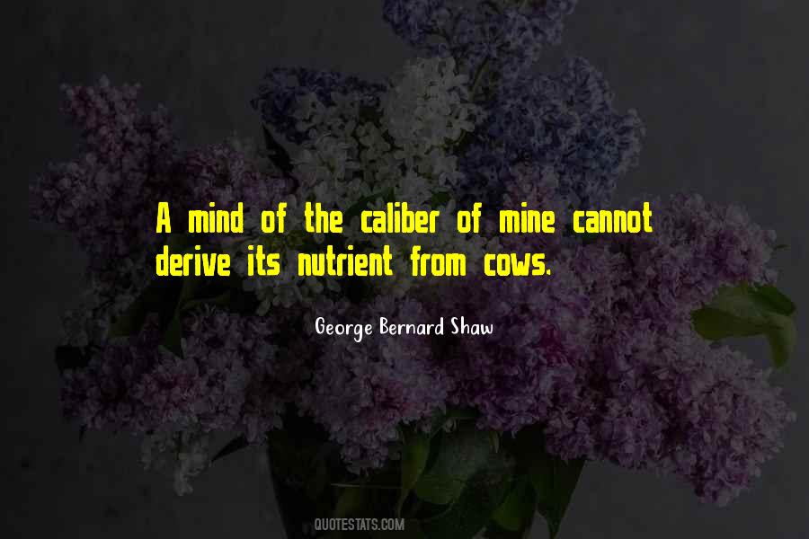 George Bernard Shaw Quotes #882712