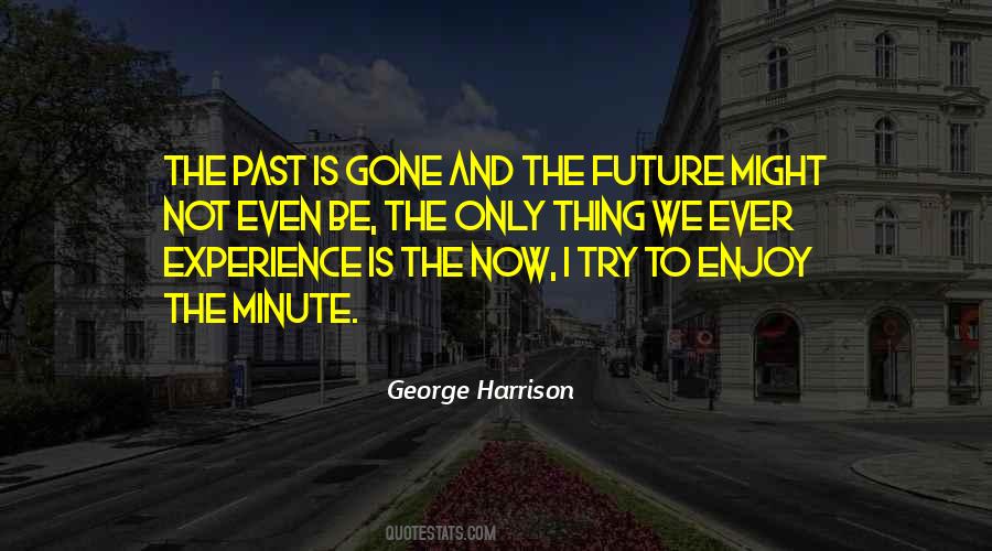 George Harrison Quotes #910005