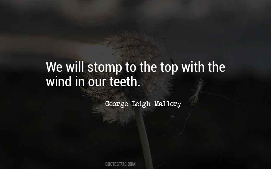 George Leigh Mallory Quotes #44760