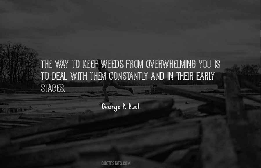 George P. Bush Quotes #234728