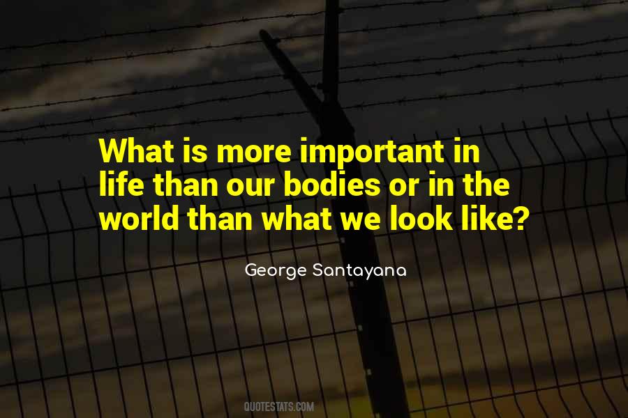 George Santayana Quotes #408252