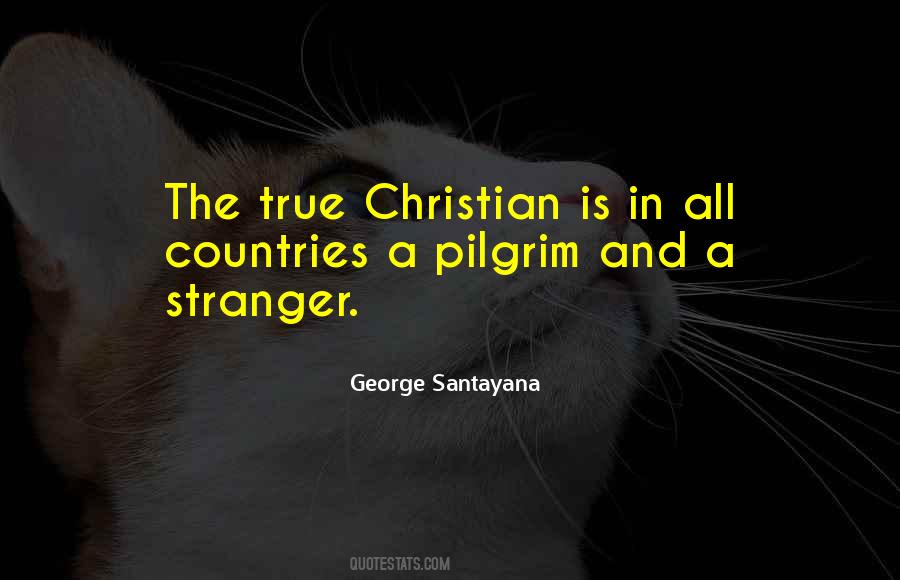 George Santayana Quotes #502520