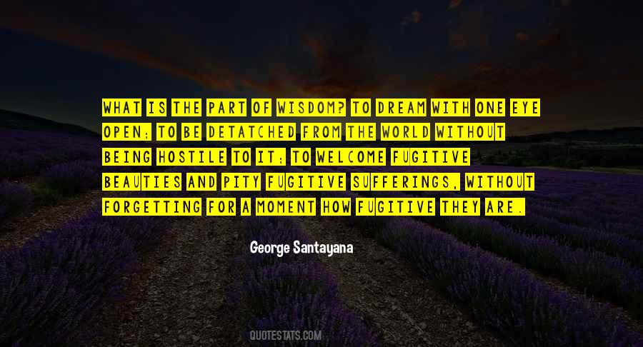 George Santayana Quotes #677698