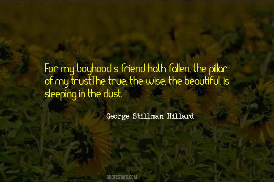 George Stillman Hillard Quotes #749042