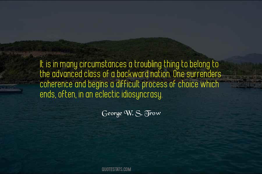 George W. S. Trow Quotes #1794642