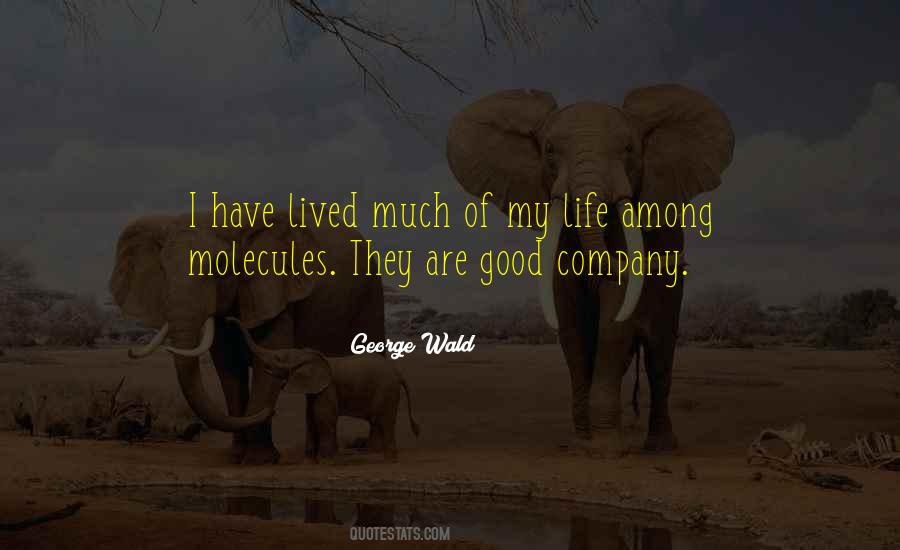 George Wald Quotes #780354