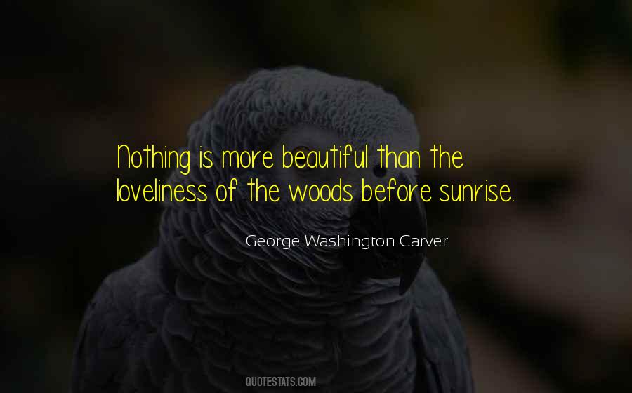 George Washington Carver Quotes #372648