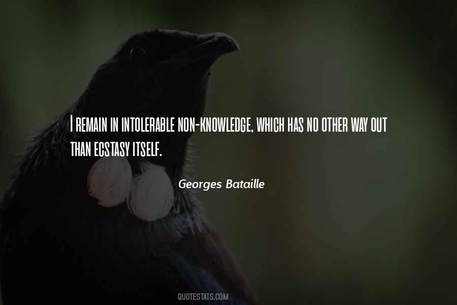 Georges Bataille Quotes #446269