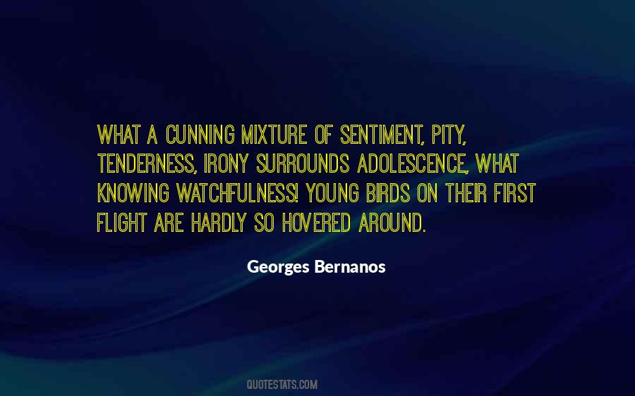 Georges Bernanos Quotes #288443