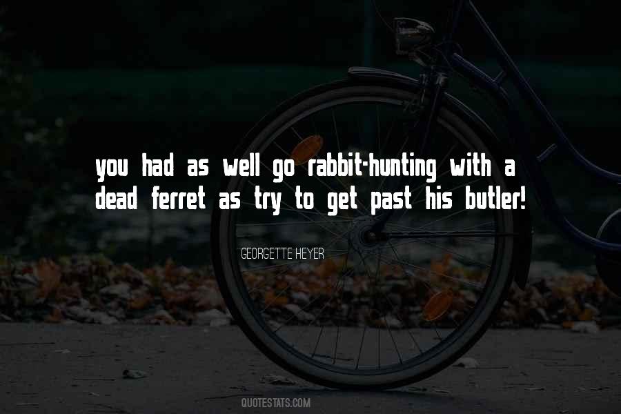 Georgette Heyer Quotes #1651168