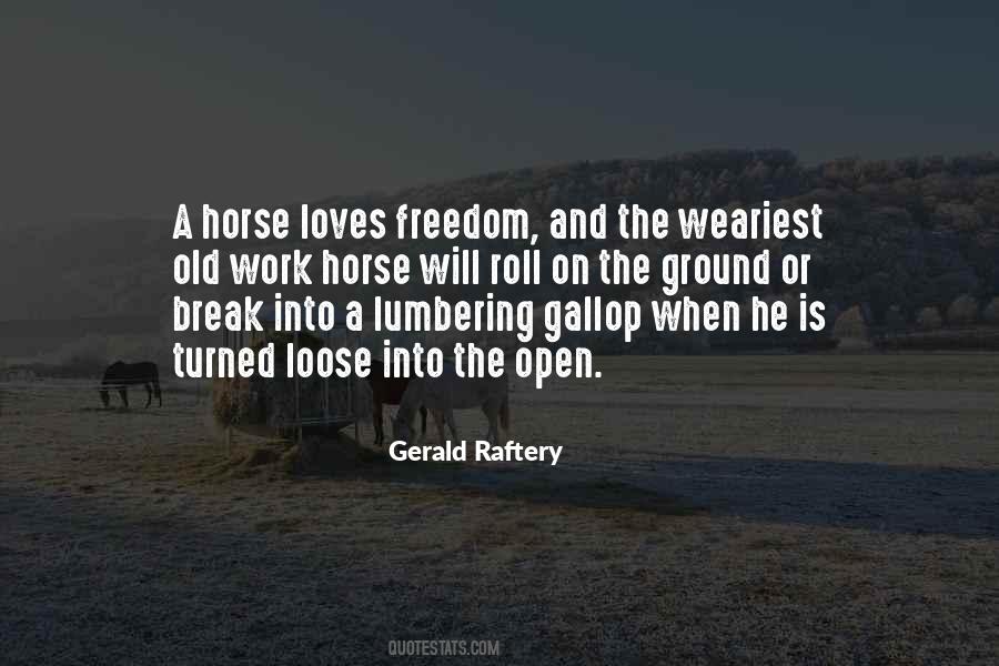 Gerald Raftery Quotes #1247307