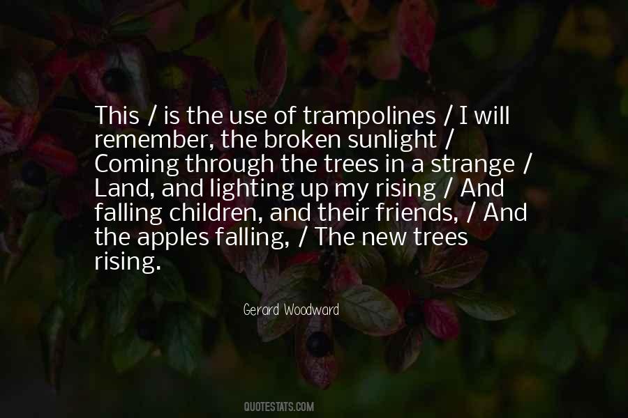 Gerard Woodward Quotes #477631