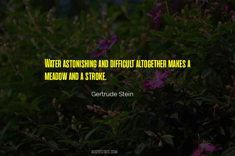 Gertrude Stein Quotes #69077