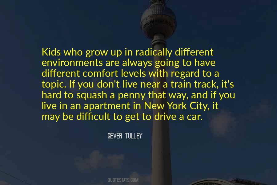 Gever Tulley Quotes #7227
