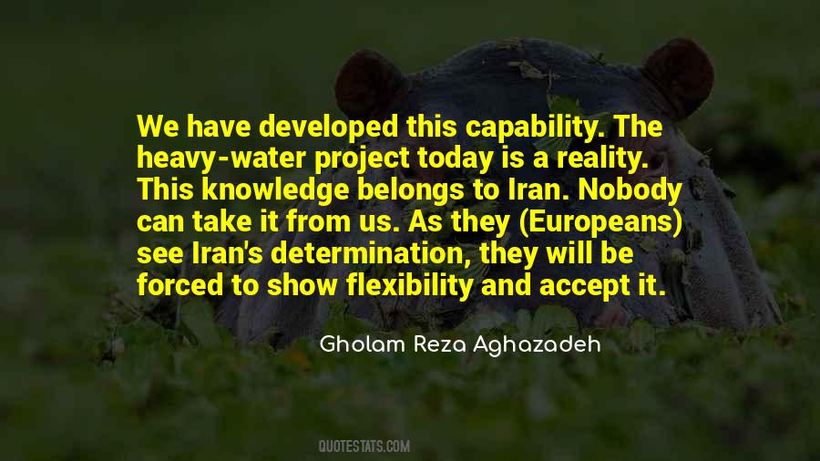Gholam Reza Aghazadeh Quotes #779026