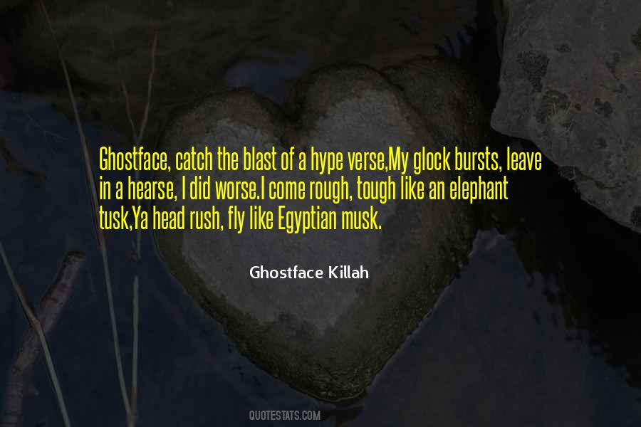 Ghostface Killah Quotes #1357116