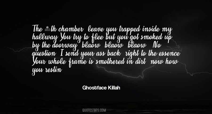 Ghostface Killah Quotes #1477009