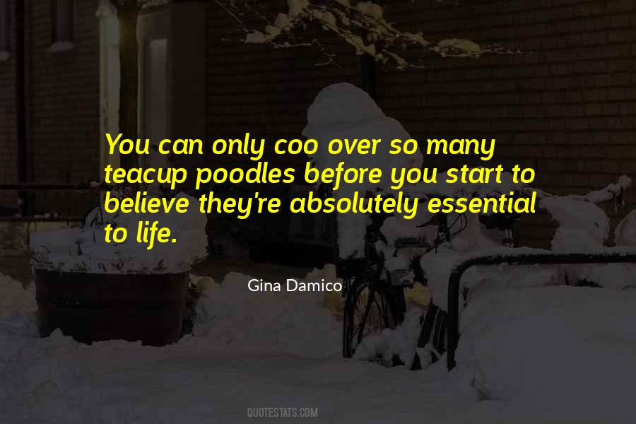 Gina Damico Quotes #1471819