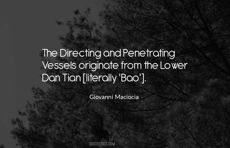 Giovanni Maciocia Quotes #133968 Giovanni Maciocia Quotes #133968
