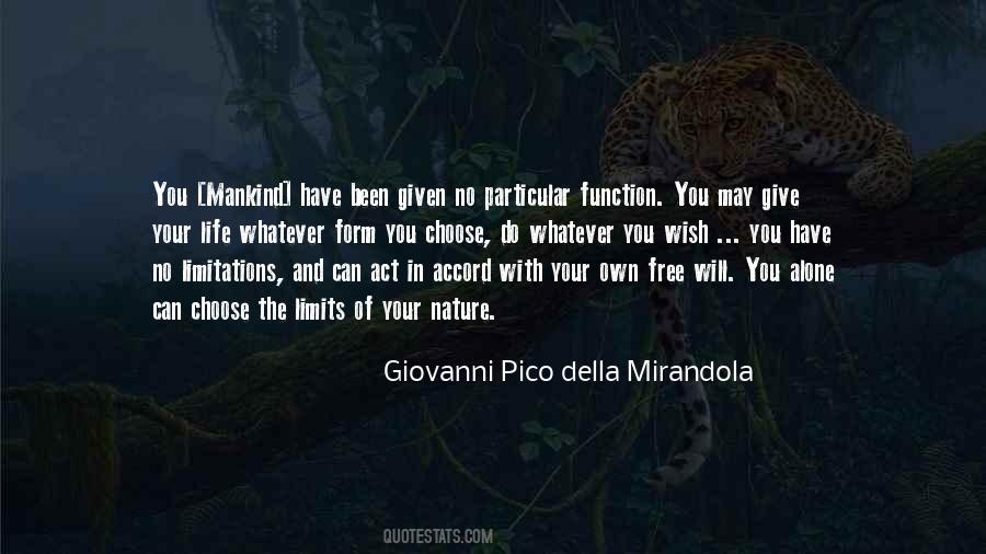 Giovanni Pico Della Mirandola Quotes #446448