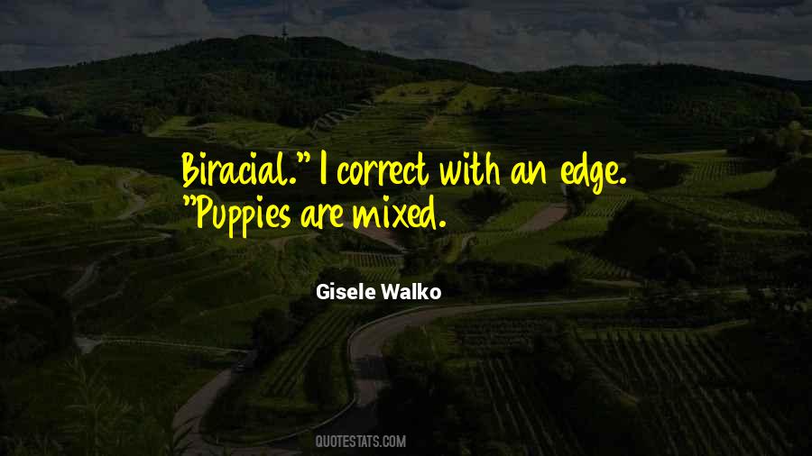 Gisele Walko Quotes #1225396