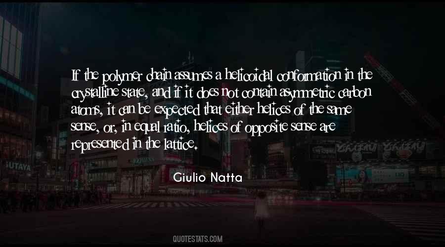 Giulio Natta Quotes #544506