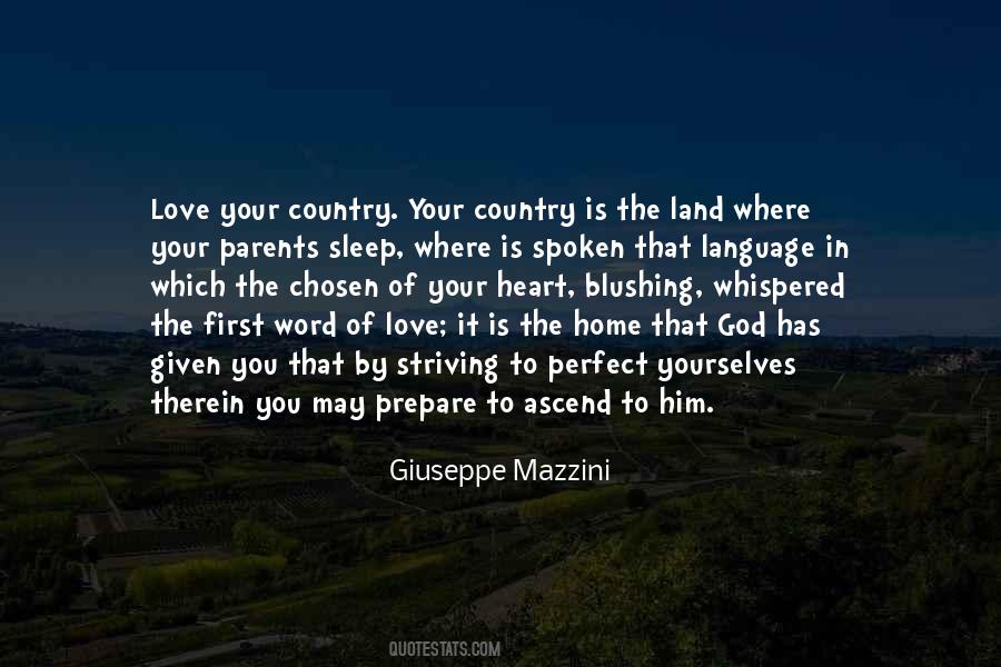 Giuseppe Mazzini Quotes #985497