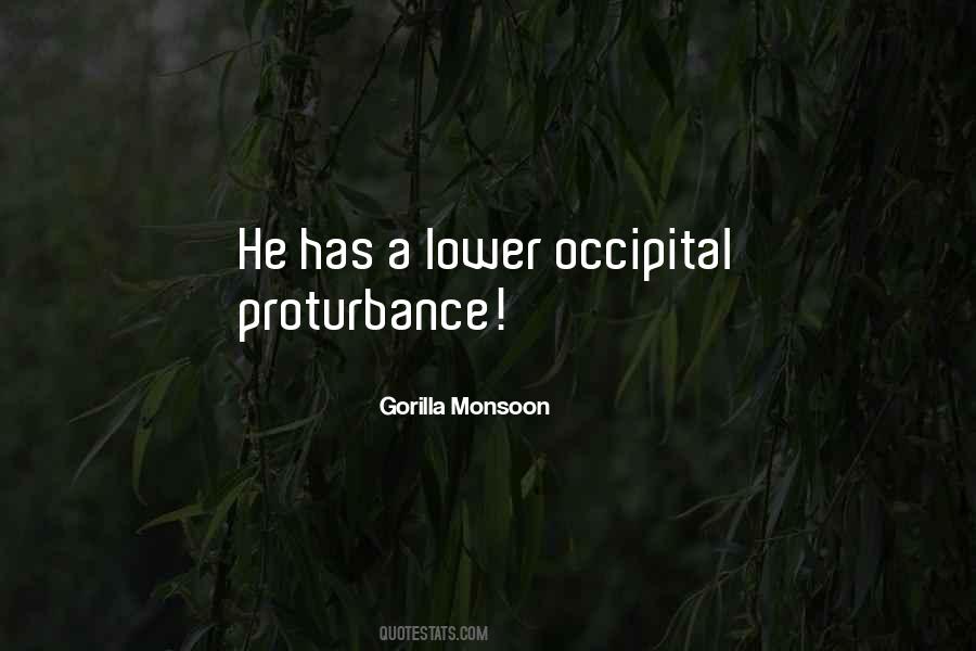 Gorilla Monsoon Quotes #189626