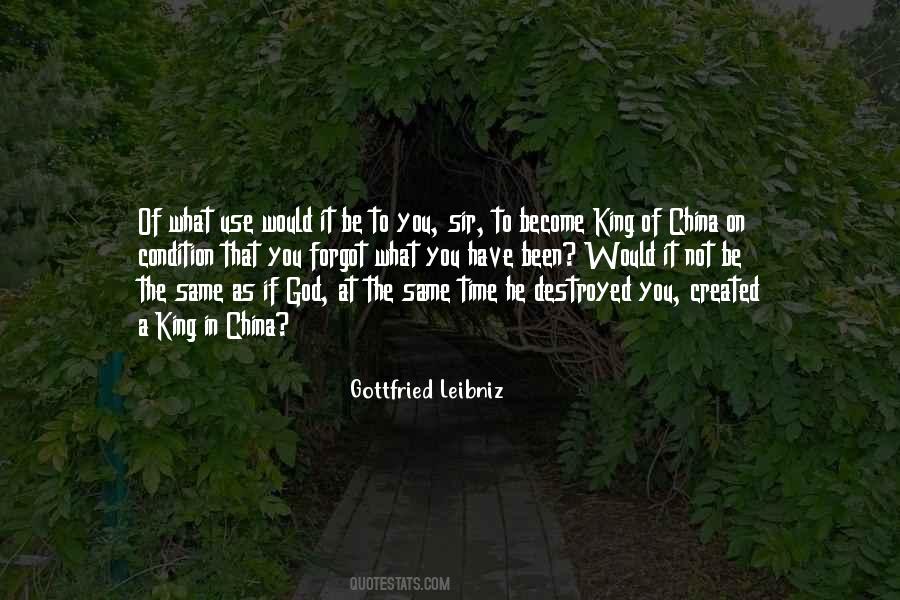 Gottfried Leibniz Quotes #758091