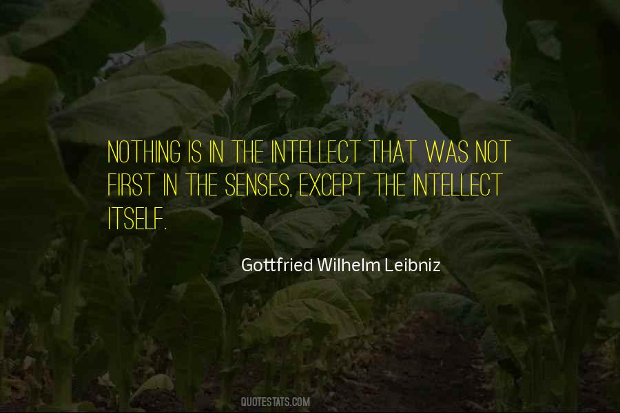 Gottfried Wilhelm Leibniz Quotes #1553223
