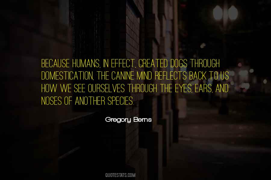 Gregory Berns Quotes #724110